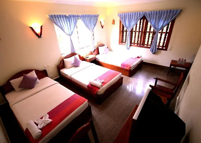 Hotel Forest King 3*