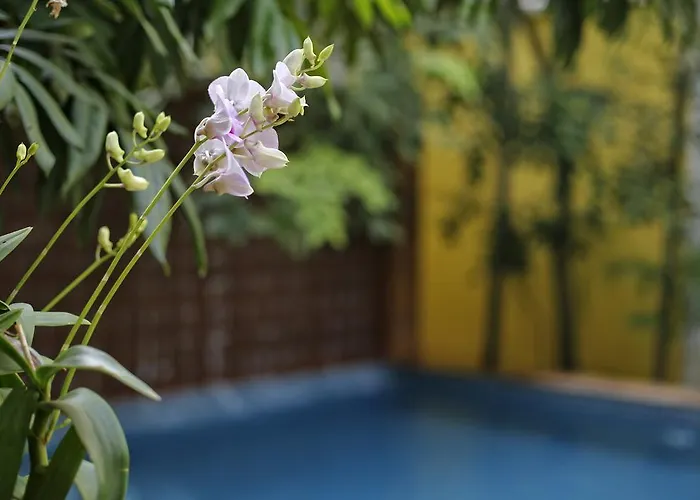 Hotel Forest King Siem Reap