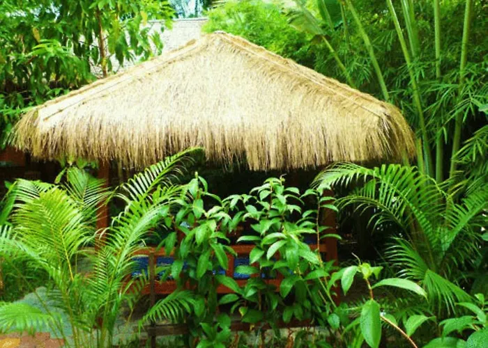 Hotel Forest King Siem Reap