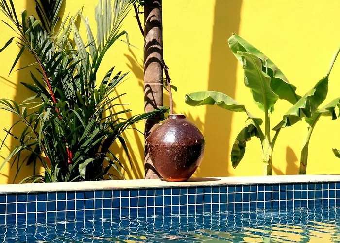 Forest King Hotel Siem Reap