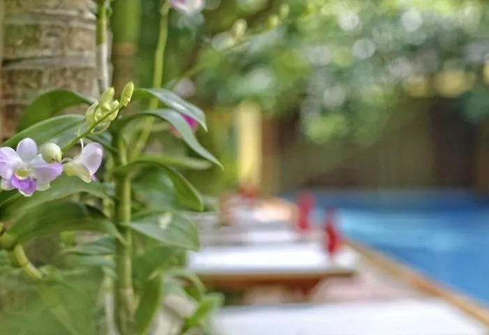 Forest King 3* Siem Reap